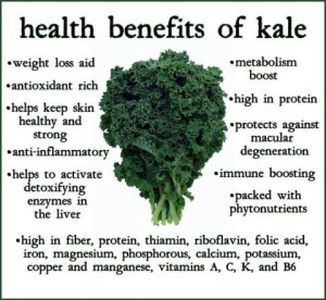 benefits-of-kale